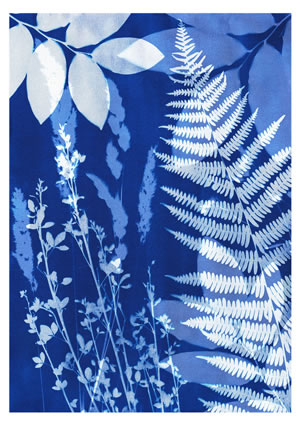 L’exploration de techniques telles que la linogravure | La boite à motifs | Création de motifs sur mesure ou prêts à l’emploi | cynotype